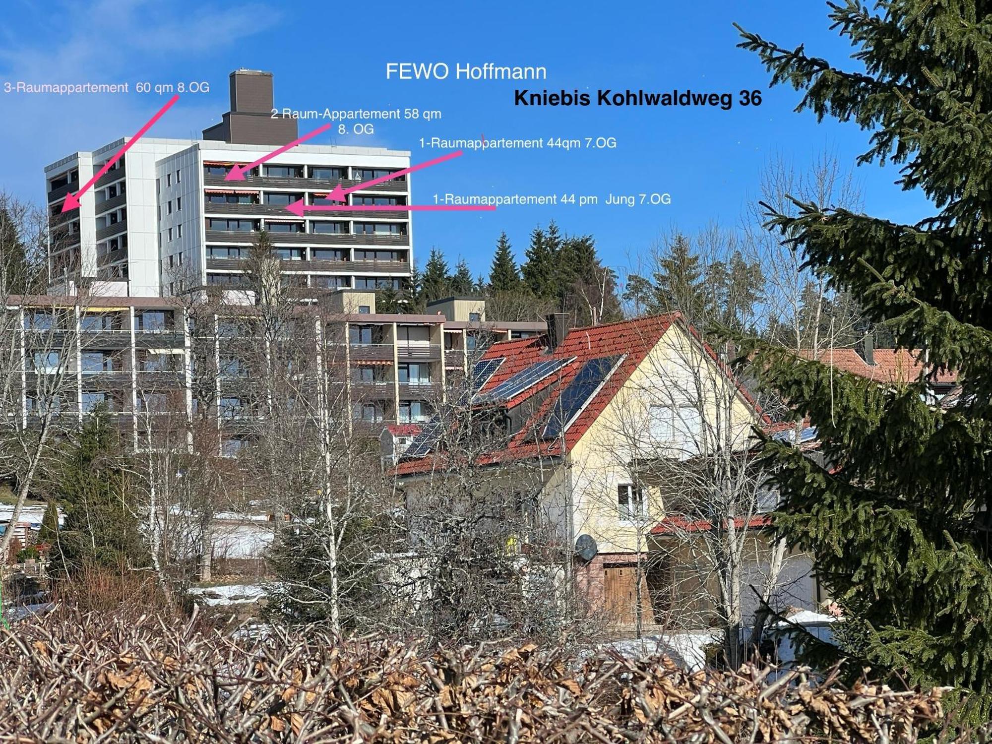 2-Raum-Ferienappartement Dieter Hoffmann Freudenstadt-Kniebis beim Nationalpark Exterior foto